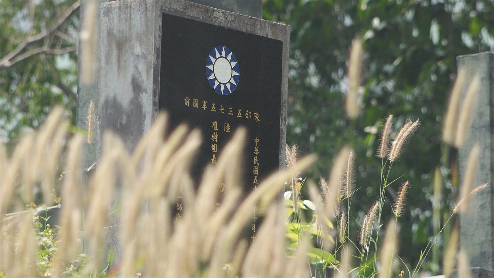 芒草叢後的孤軍墓碑，碑上刻著青天白日徽